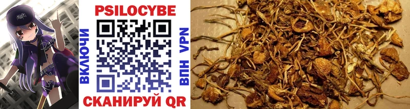 купить наркоту Дно blacksprut зеркало Галлюциногенные грибы Magic Shrooms